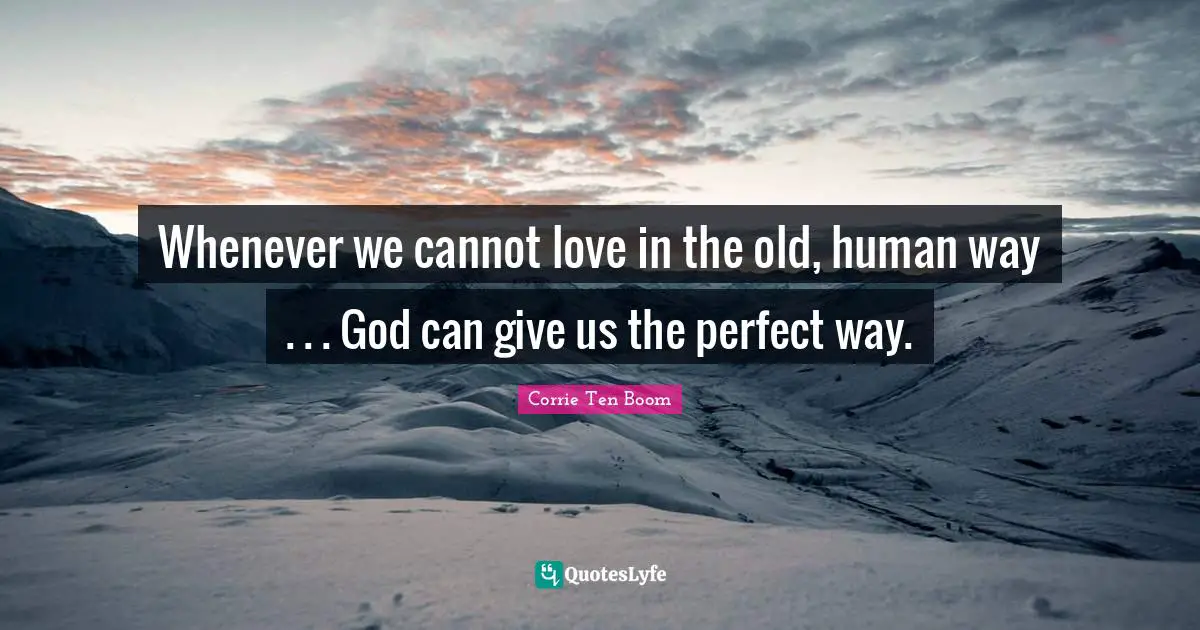 Whenever we cannot love in the old, human way . . . God can give us the perfect way.