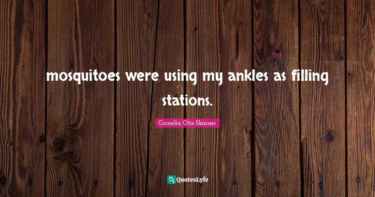 Mosquitoes Quotes: "mosquitoes were using my ankles as filling stations."