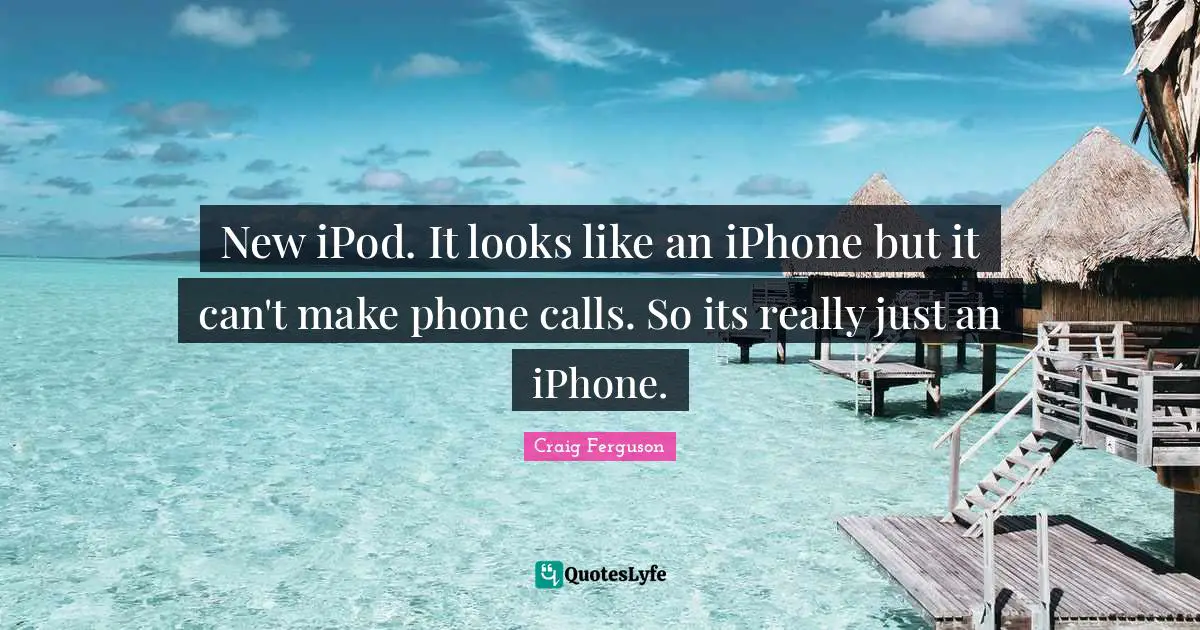 New iPod. It looks like an iPhone but it can't make phone calls. So its really just an iPhone.