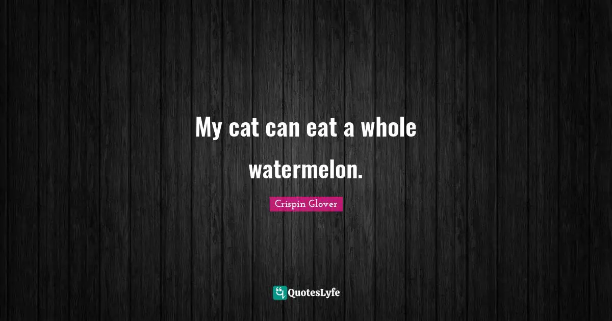 My cat can eat a whole watermelon.
