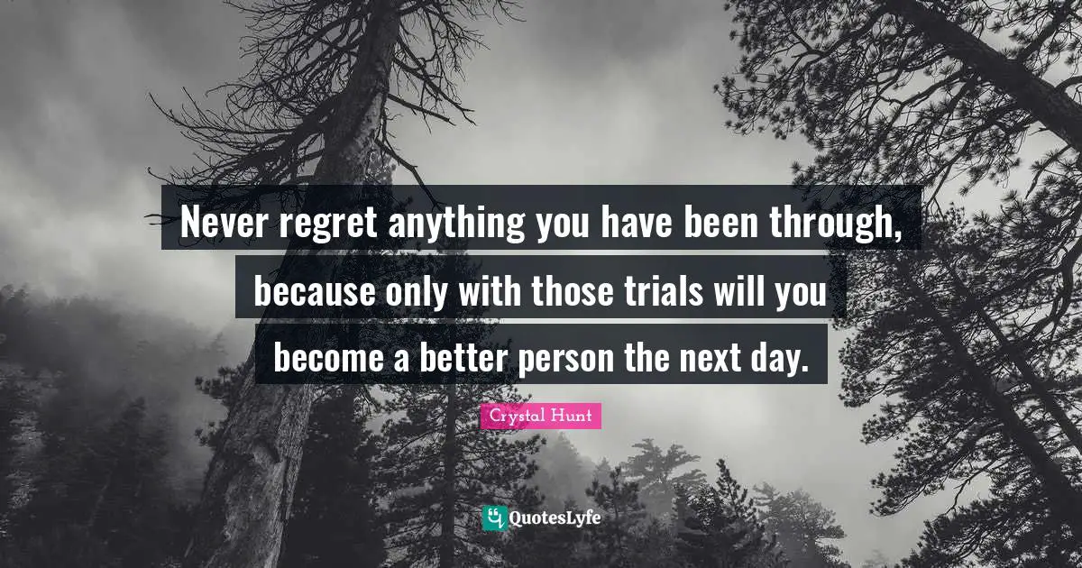 Next Day Quotes: "Never regret anything you have been through, because only with those trials will you become a better person the next day."