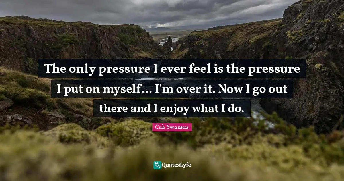 The only pressure I ever feel is the pressure I put on myself... I'm over it. Now I go out there and I enjoy what I do.