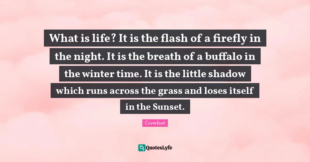 Night Quotes: "What is life? It is the flash of a firefly in the night. It is the breath of a buffalo in the winter time. It is the little shadow which runs across the grass and loses itself in the Sunset."