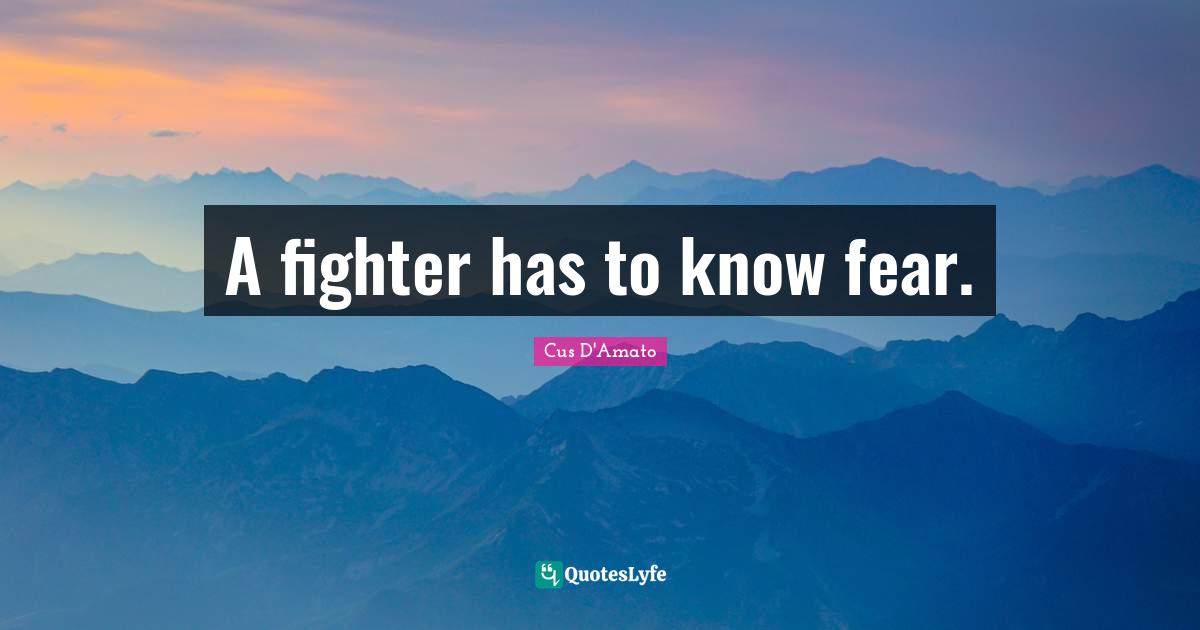 Negativity Quotes: "A fighter has to know fear."
