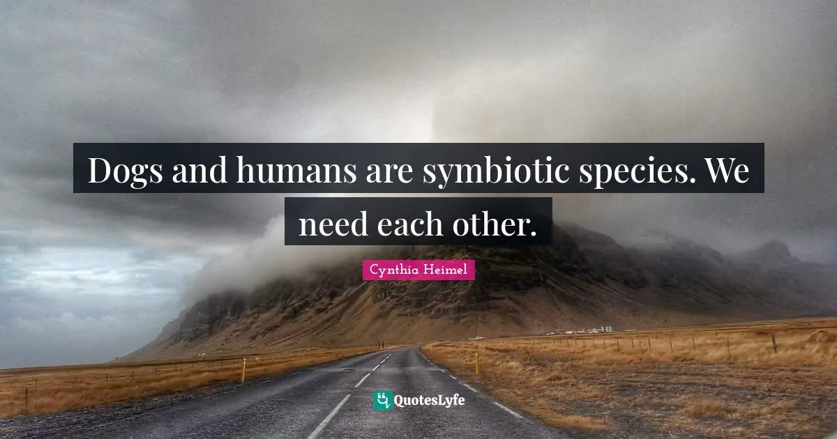 Dogs and humans are symbiotic species. We need each other.