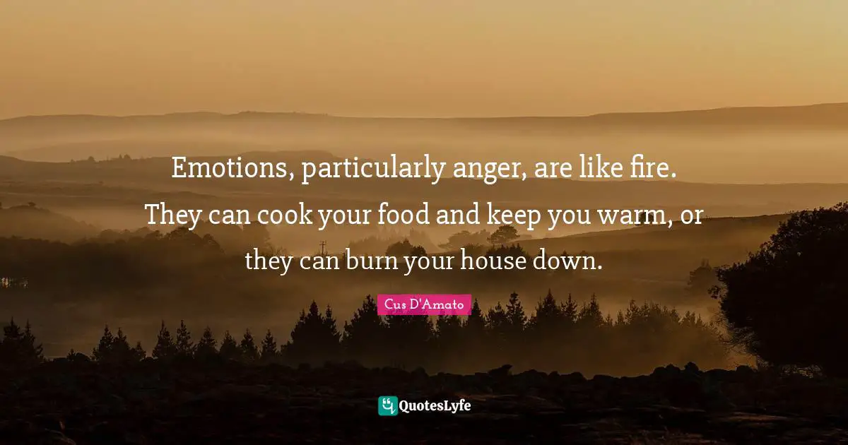 Fire Quotes: "Emotions, particularly anger, are like fire. They can cook your food and keep you warm, or they can burn your house down."
