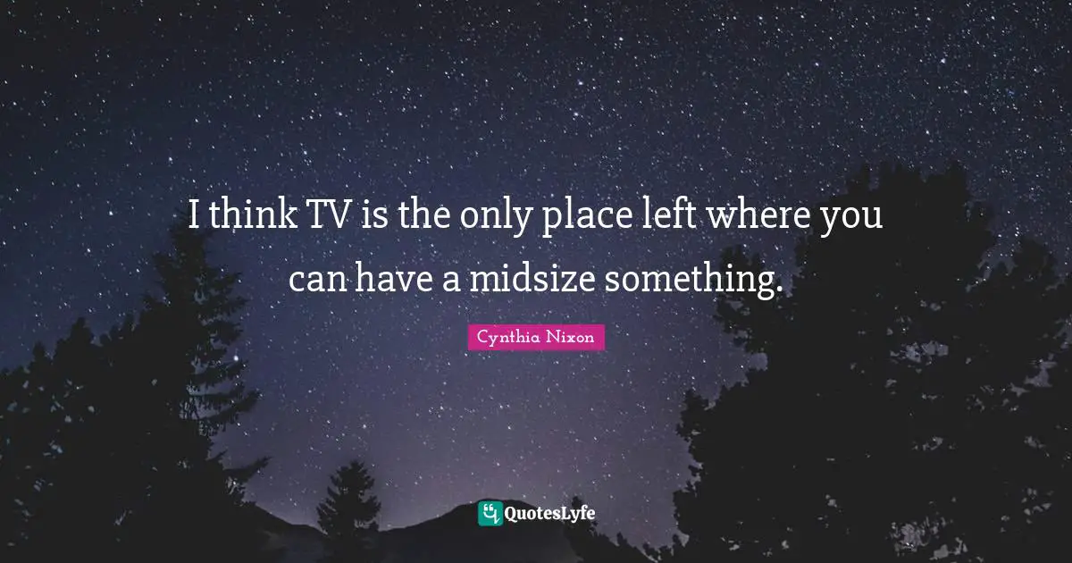 I think TV is the only place left where you can have a midsize something.