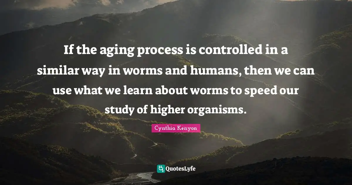 If the aging process is controlled in a similar way in worms and humans, then we can use what we learn about worms to speed our study of higher organisms.