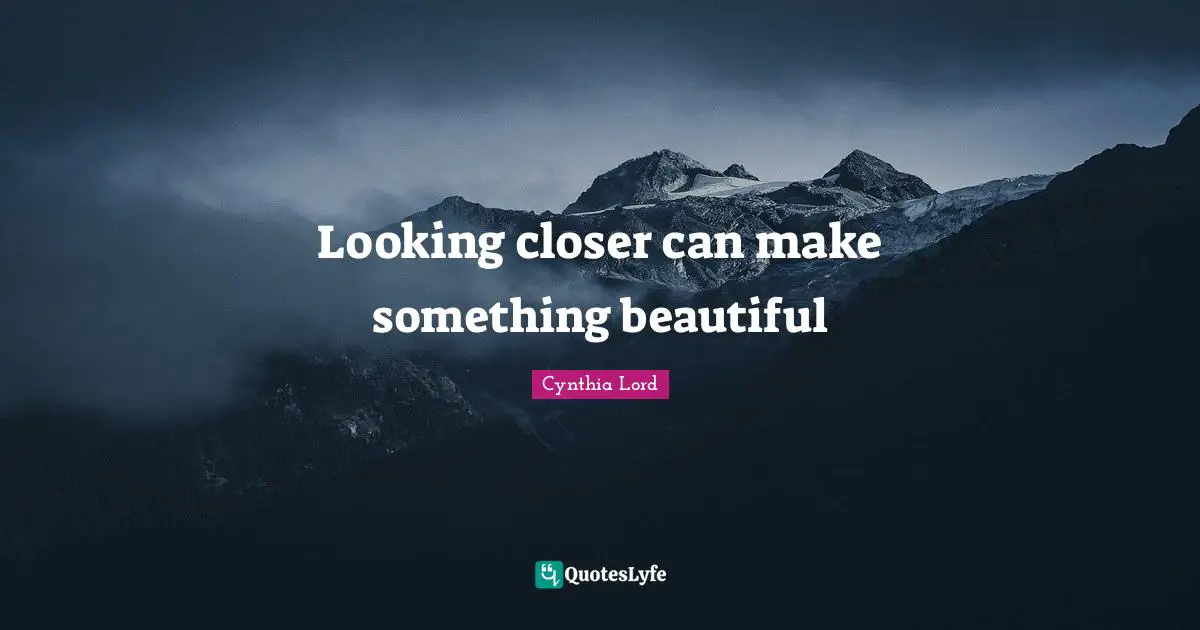 Looking closer can make something beautiful