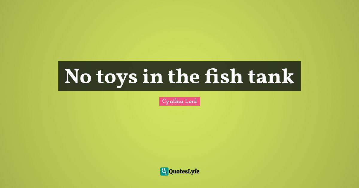 No toys in the fish tank