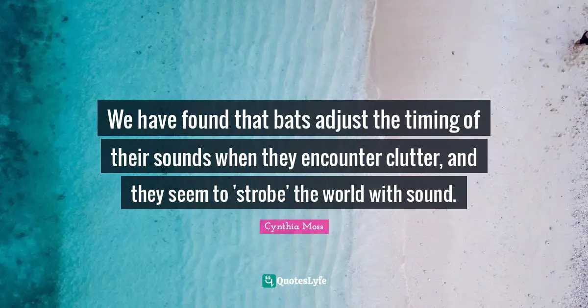Clutter Quotes: "We have found that bats adjust the timing of their sounds when they encounter clutter, and they seem to 'strobe' the world with sound."