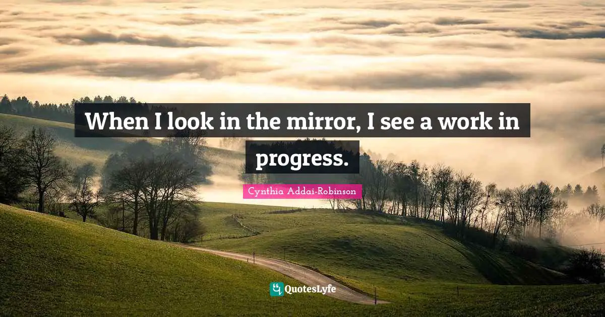 Work In Progress Quotes: "When I look in the mirror, I see a work in progress."
