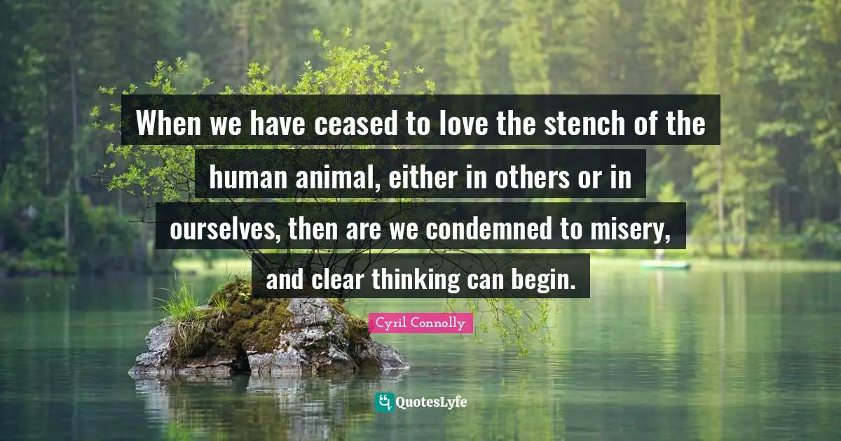 Cyril Connolly Quotes: "When we have ceased to love the stench of the human animal, either in others or in ourselves, then are we condemned to misery, and clear thinking can begin."