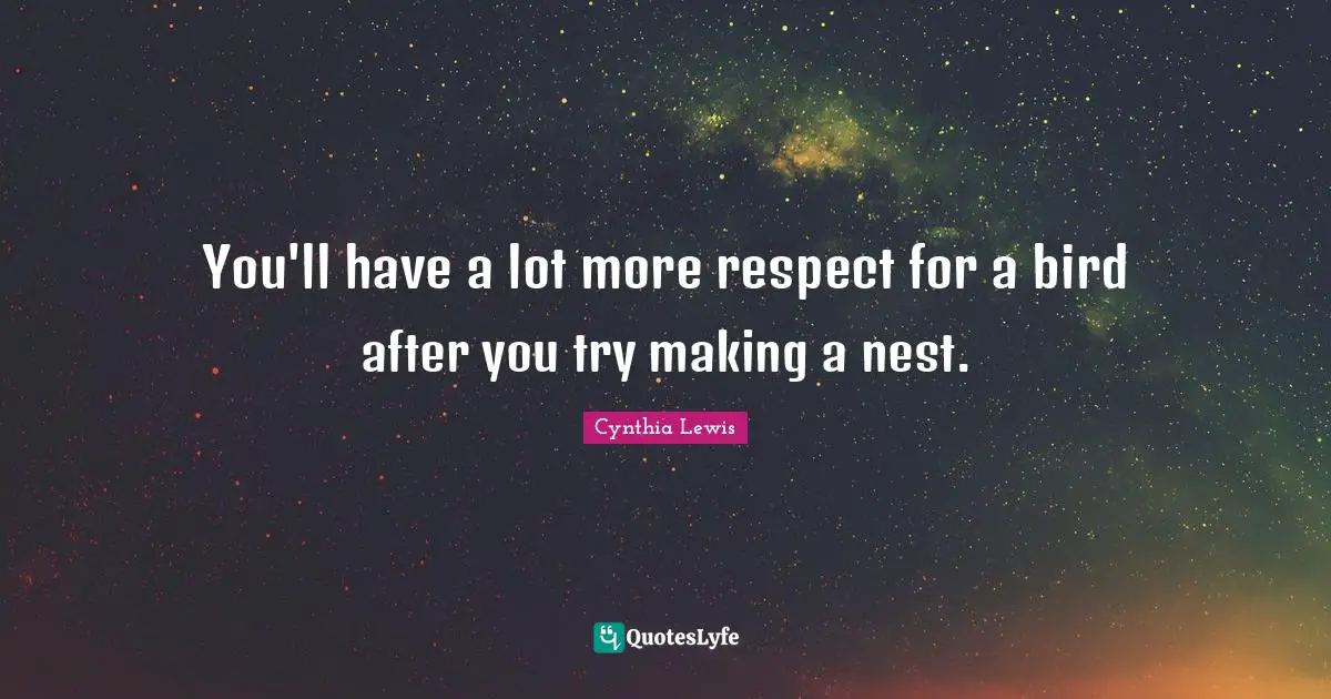 You'll have a lot more respect for a bird after you try making a nest.