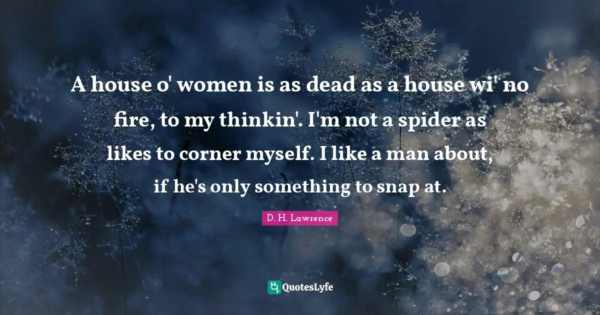 A house o' women is as dead as a house wi' no fire, to my thinkin'. I'm not a spider as likes to corner myself. I like a man about, if he's only something to snap at.