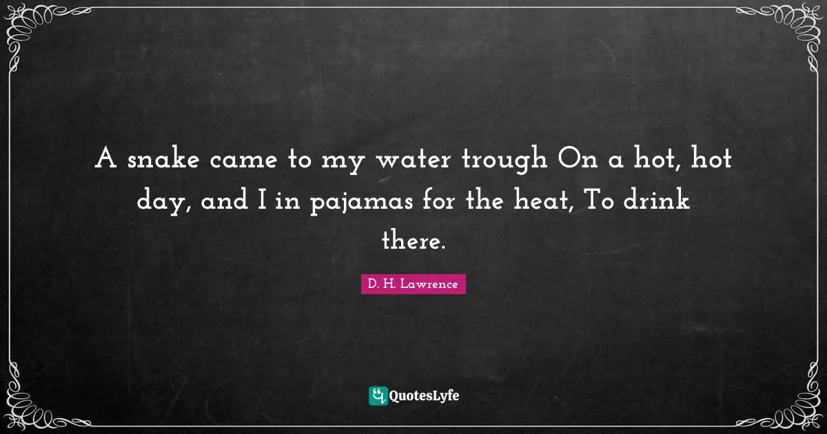 Snakes Quotes: "A snake came to my water trough On a hot, hot day, and I in pajamas for the heat, To drink there."