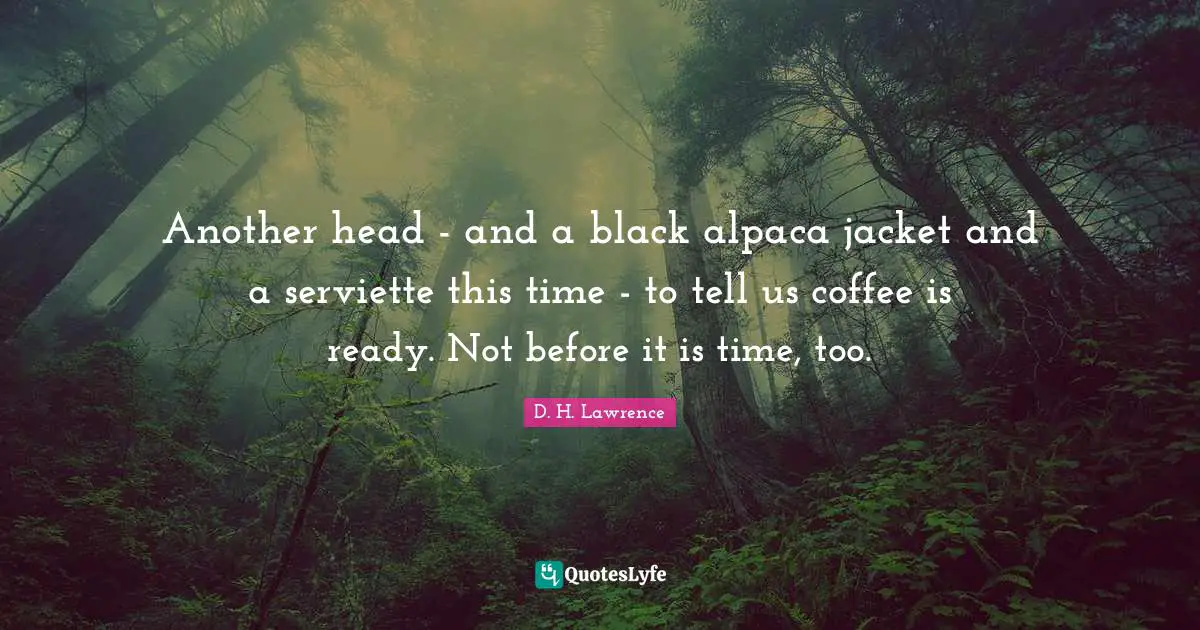 Another head - and a black alpaca jacket and a serviette this time - to tell us coffee is ready. Not before it is time, too.