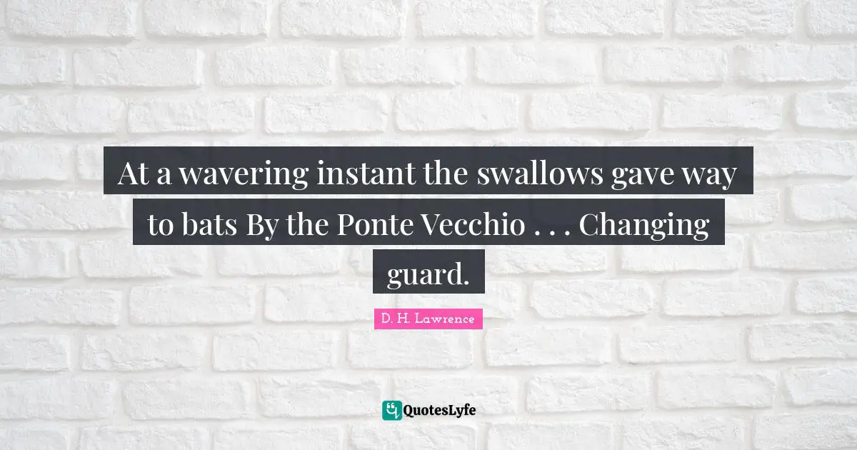 At a wavering instant the swallows gave way to bats By the Ponte Vecchio . . . Changing guard.