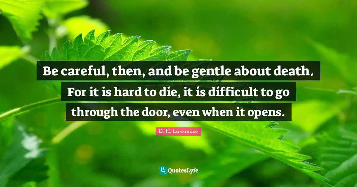 Be careful, then, and be gentle about death. For it is hard to die, it is difficult to go through the door, even when it opens.