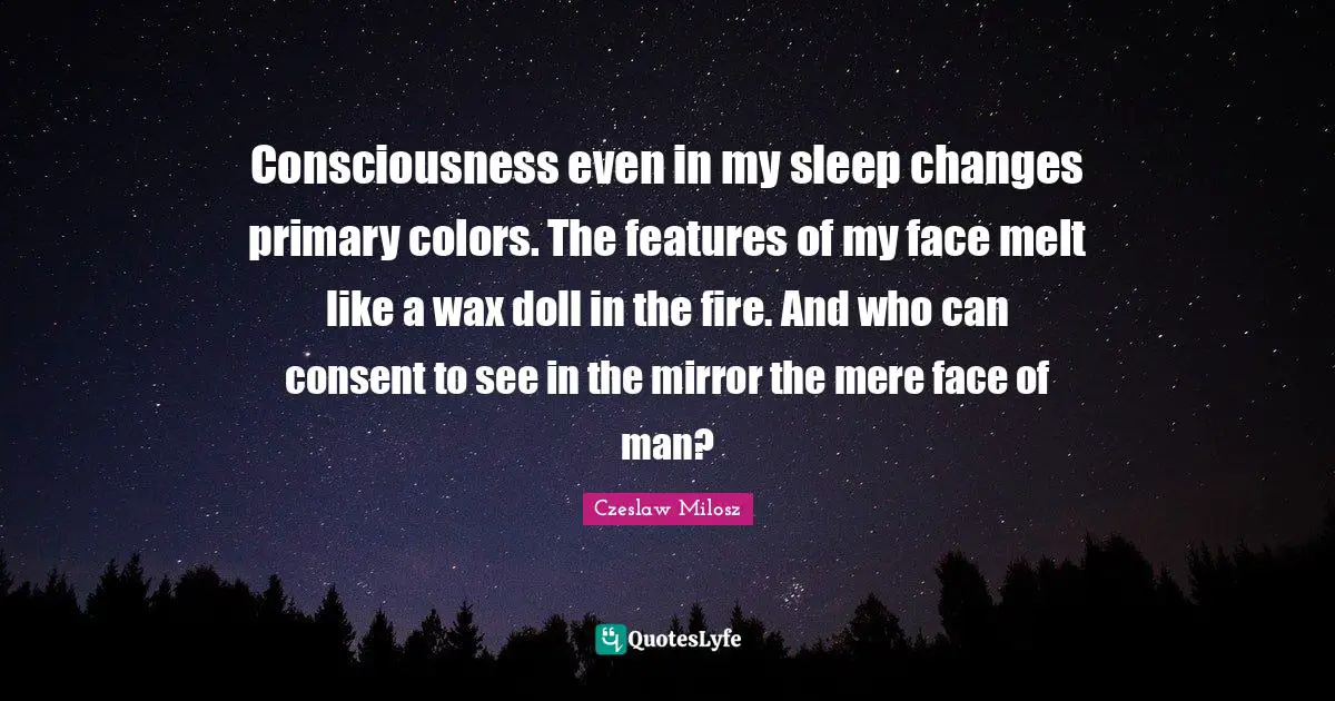 Consciousness even in my sleep changes primary colors. The features of my face melt like a wax doll in the fire. And who can consent to see in the mirror the mere face of man?