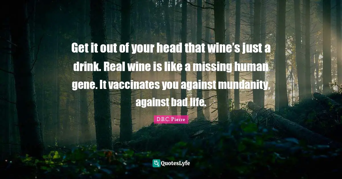 Get it out of your head that wine’s just a drink. Real wine is like a missing human gene. It vaccinates you against mundanity, against bad life.