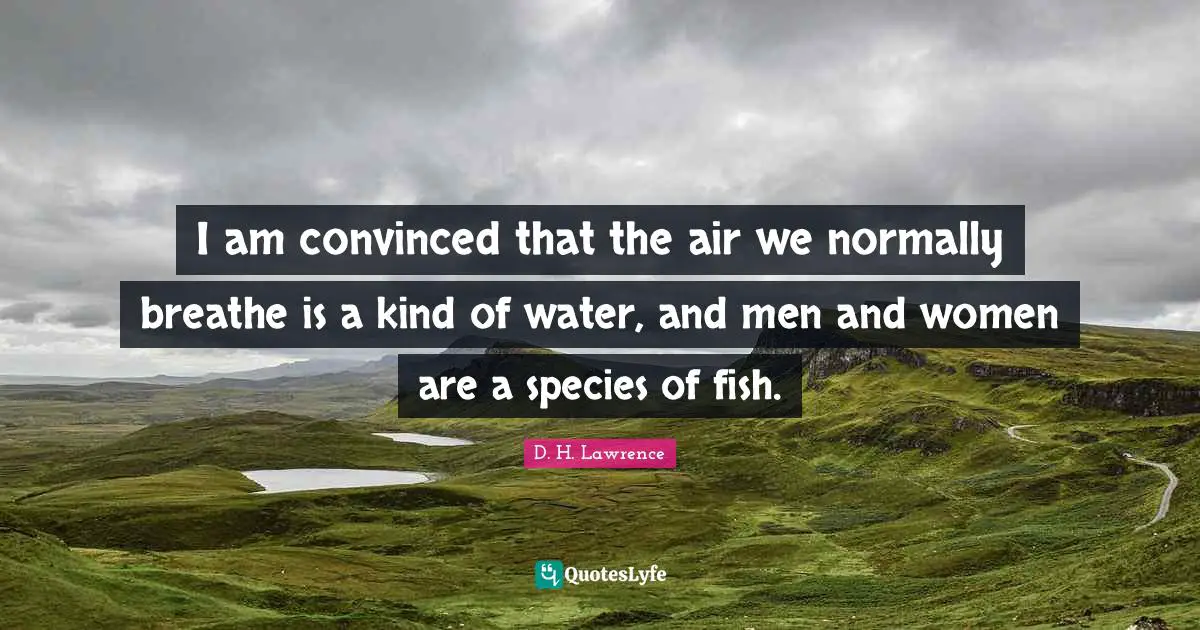 I am convinced that the air we normally breathe is a kind of water, and men and women are a species of fish.