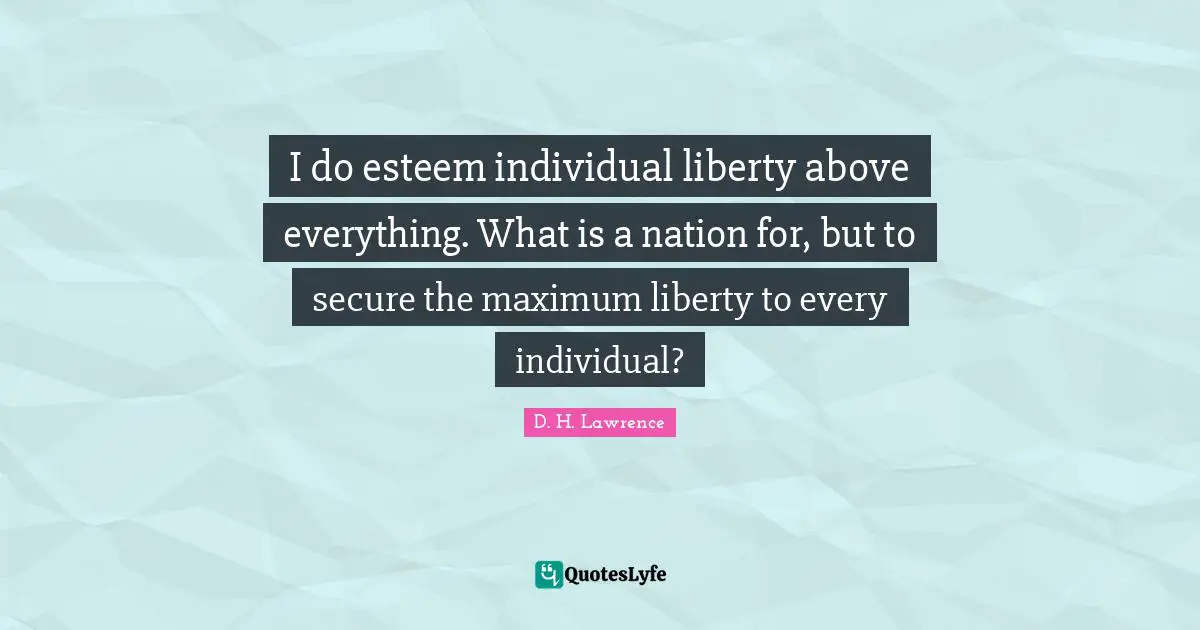 I do esteem individual liberty above everything. What is a nation for, but to secure the maximum liberty to every individual?
