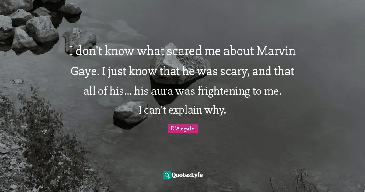 I don't know what scared me about Marvin Gaye. I just know that he was scary, and that all of his... his aura was frightening to me. I can't explain why.