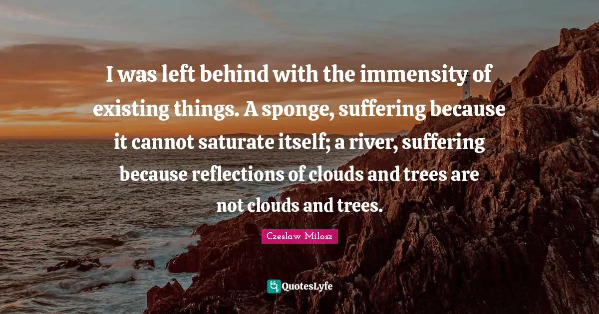 I was left behind with the immensity of existing things. A sponge, suffering because it cannot saturate itself; a river, suffering because reflections of clouds and trees are not clouds and trees.
