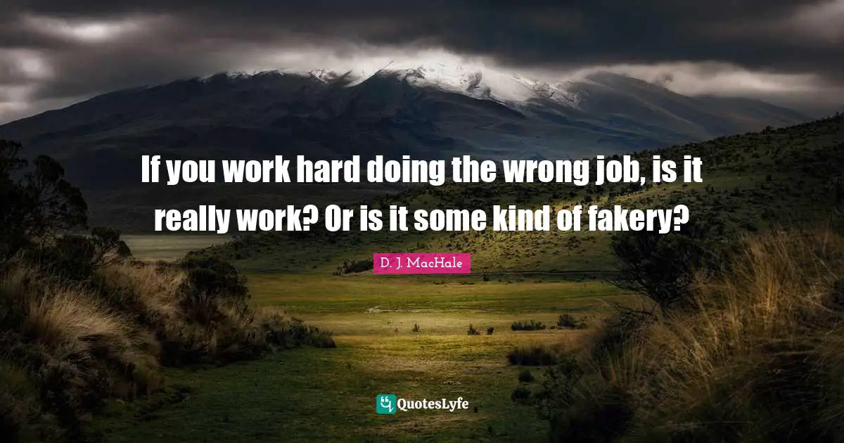 D.J. MacHale Quotes: "If you work hard doing the wrong job, is it really work? Or is it some kind of fakery?"