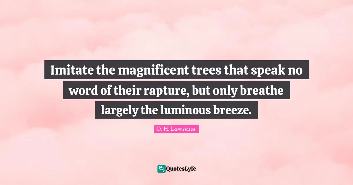 Imitate the magnificent trees that speak no word of their rapture, but only breathe largely the luminous breeze.