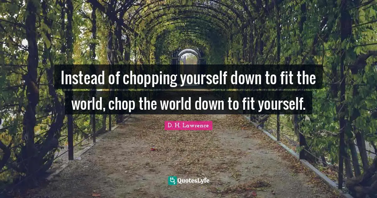 Instead of chopping yourself down to fit the world, chop the world down to fit yourself.