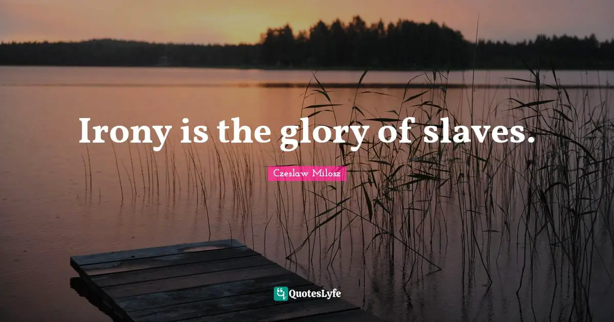 Irony is the glory of slaves.
