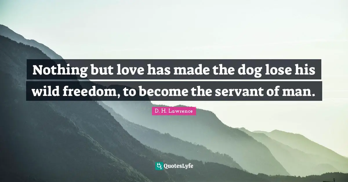 Nothing but love has made the dog lose his wild freedom, to become the servant of man.