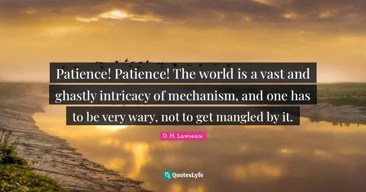 Patience! Patience! The world is a vast and ghastly intricacy of mechanism, and one has to be very wary, not to get mangled by it.
