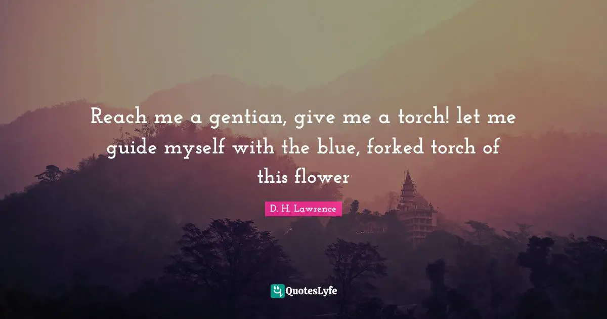 Reach me a gentian, give me a torch! let me guide myself with the blue, forked torch of this flower