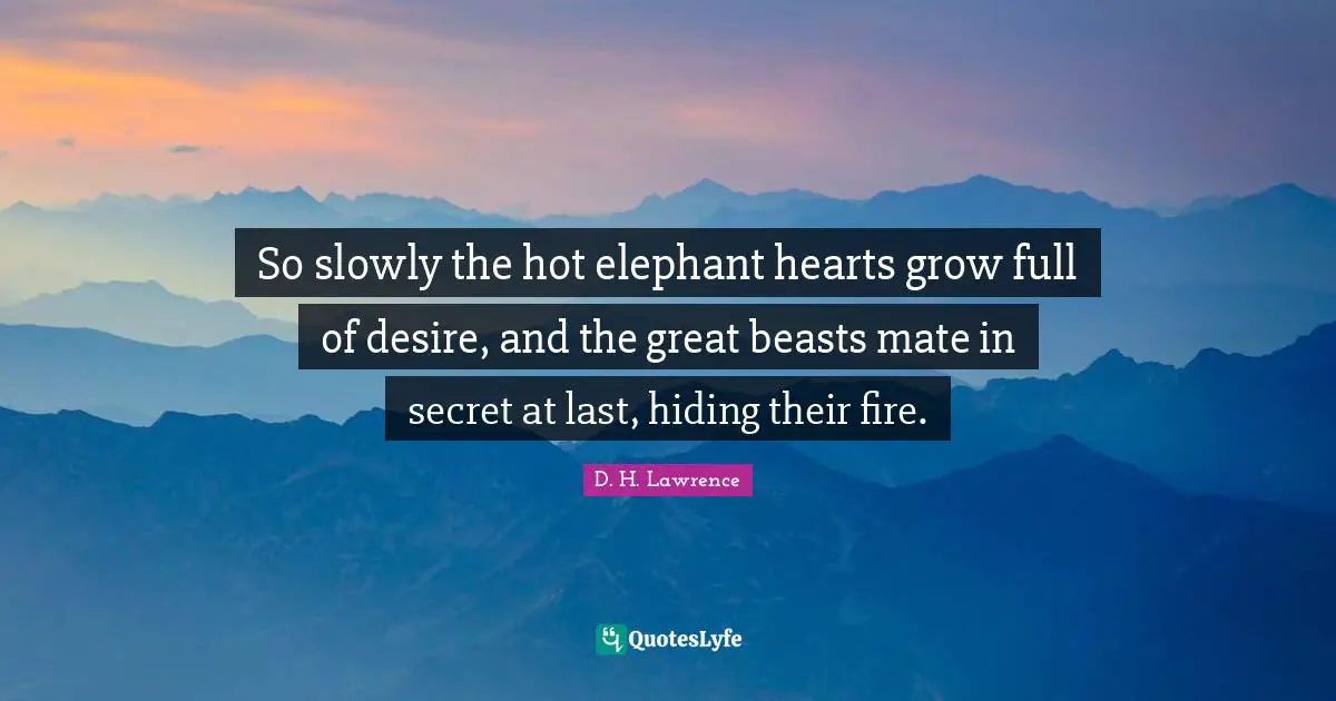 So slowly the hot elephant hearts grow full of desire, and the great beasts mate in secret at last, hiding their fire.