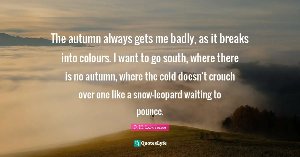The autumn always gets me badly, as it breaks into colours. I want to go south, where there is no autumn, where the cold doesn't crouch over one like a snow-leopard waiting to pounce.