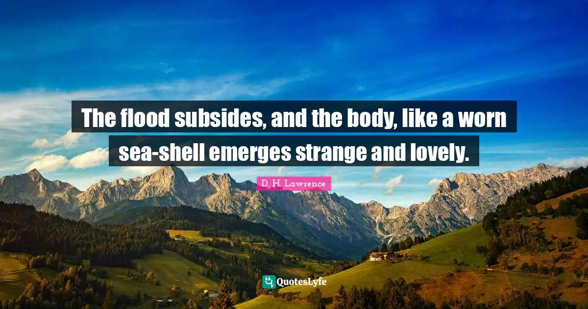 The flood subsides, and the body, like a worn sea-shell emerges strange and lovely.