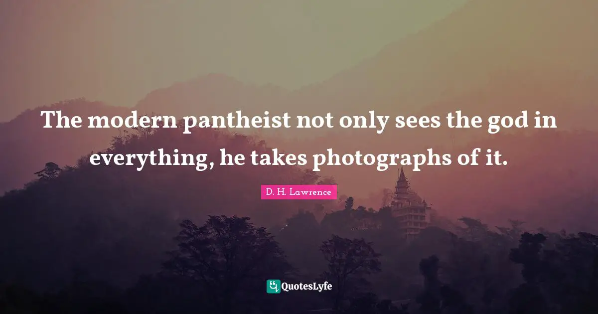 The modern pantheist not only sees the god in everything, he takes photographs of it.
