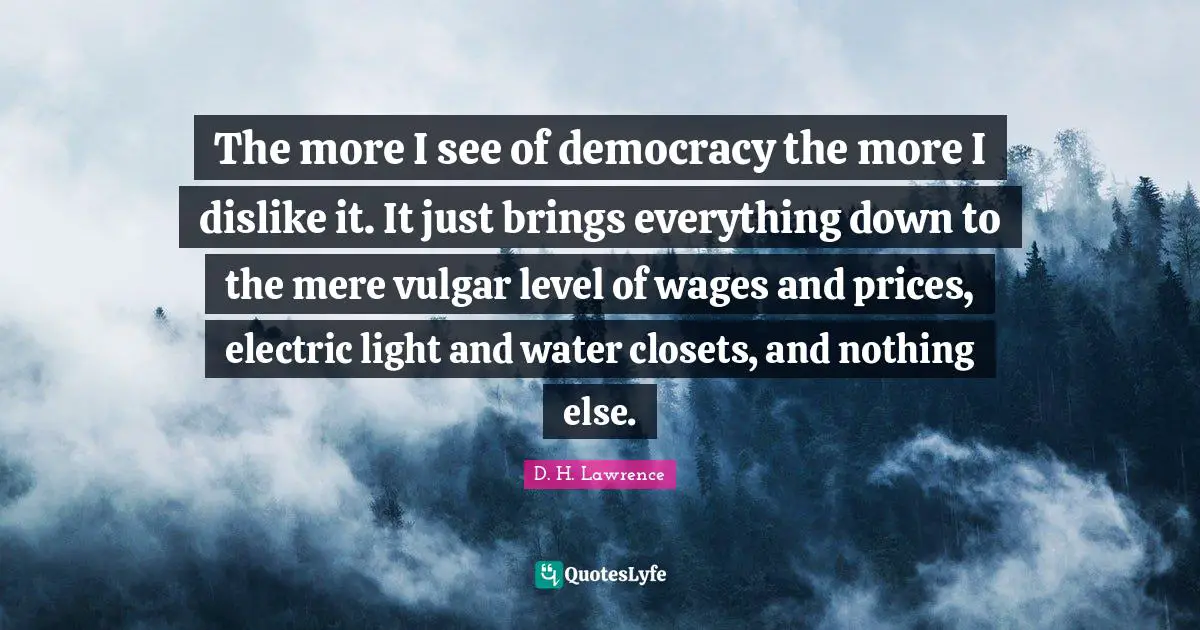 Closets Quotes: "The more I see of democracy the more I dislike it. It just brings everything down to the mere vulgar level of wages and prices, electric light and water closets, and nothing else."