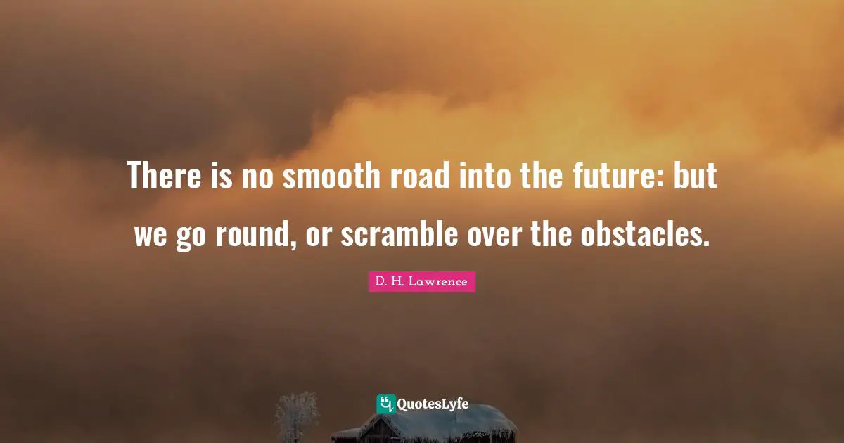 There is no smooth road into the future: but we go round, or scramble over the obstacles.