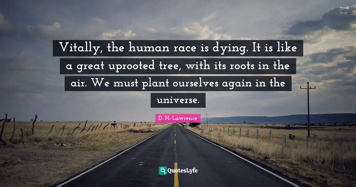 Vitally, the human race is dying. It is like a great uprooted tree, with its roots in the air. We must plant ourselves again in the universe.