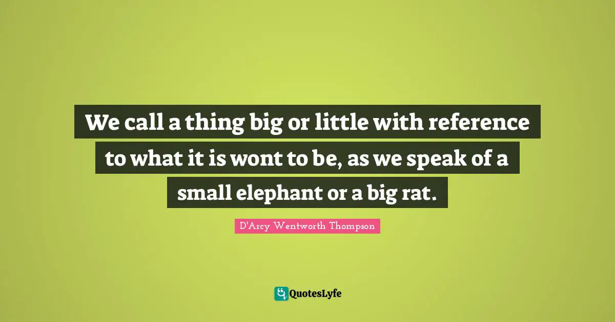 We call a thing big or little with reference to what it is wont to be, as we speak of a small elephant or a big rat.
