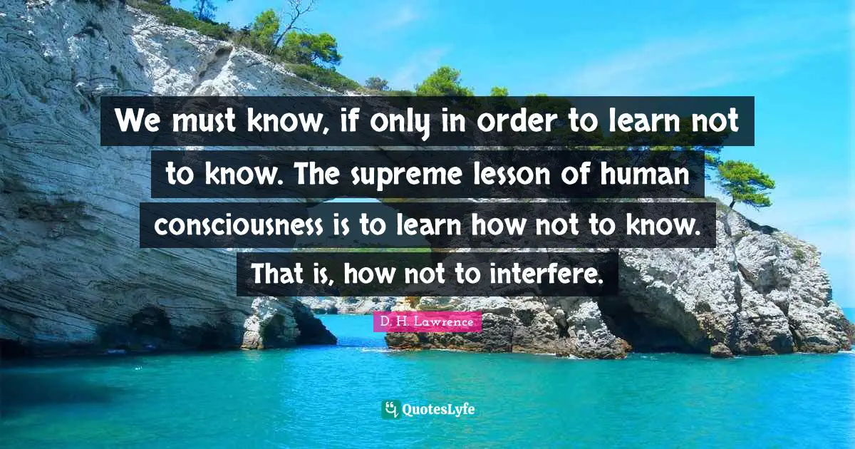 We must know, if only in order to learn not to know. The supreme lesson of human consciousness is to learn how not to know. That is, how not to interfere.