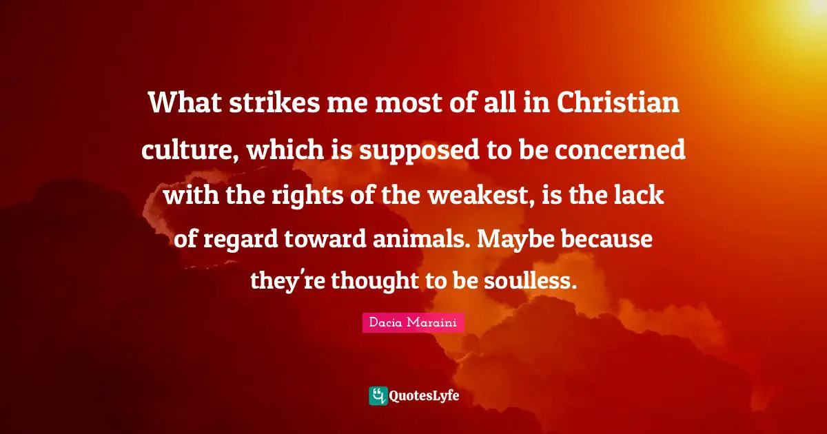 What strikes me most of all in Christian culture, which is supposed to be concerned with the rights of the weakest, is the lack of regard toward animals. Maybe because they're thought to be soulless.