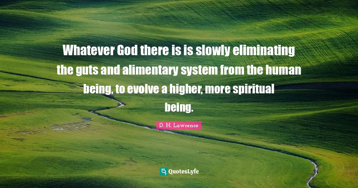 Whatever God there is is slowly eliminating the guts and alimentary system from the human being, to evolve a higher, more spiritual being.