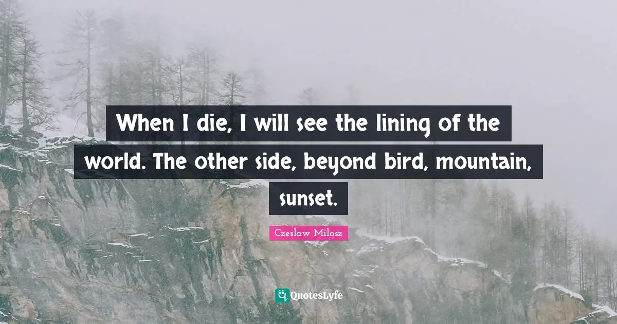 When I die, I will see the lining of the world. The other side, beyond bird, mountain, sunset.