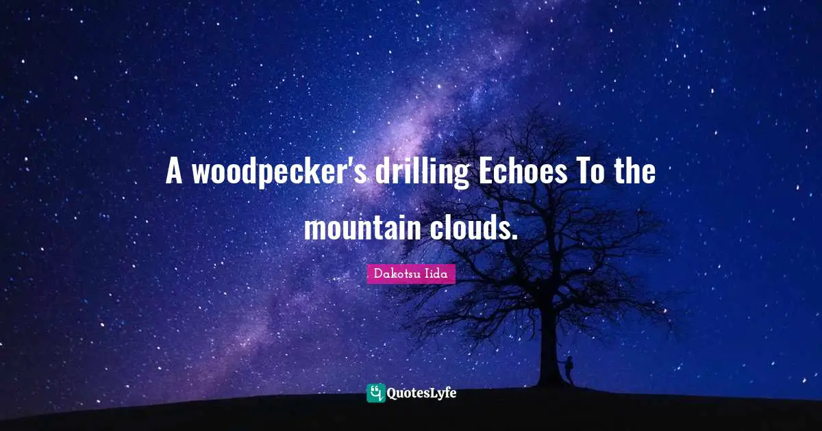 A woodpecker's drilling Echoes To the mountain clouds.