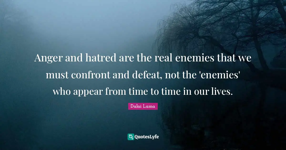 Anger and hatred are the real enemies that we must confront and defeat, not the 'enemies' who appear from time to time in our lives.